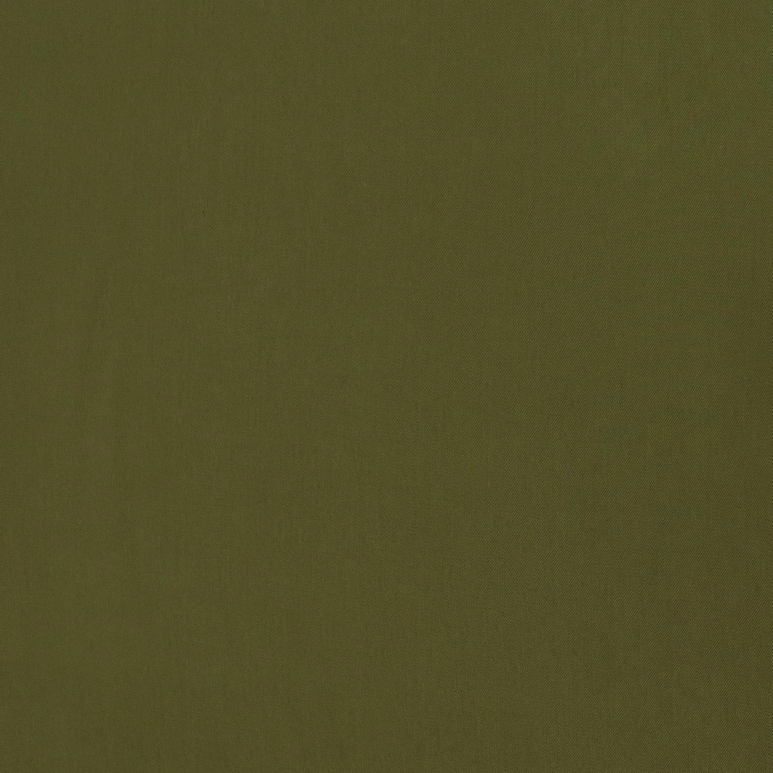Sandwashed Lyocell Twill - Moss Green